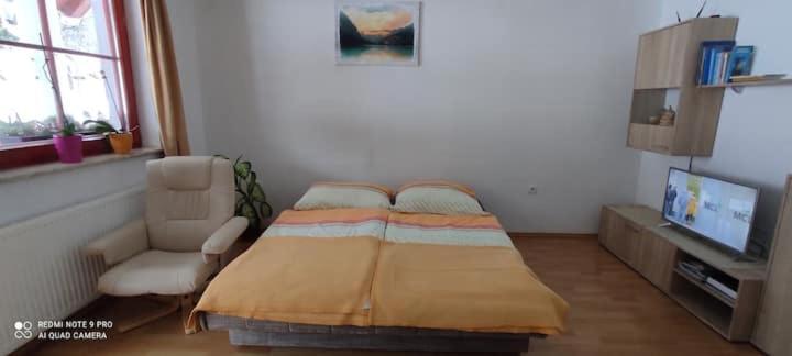 Apartmaji Bostjan Pristavec Kranjska Gora Exterior photo